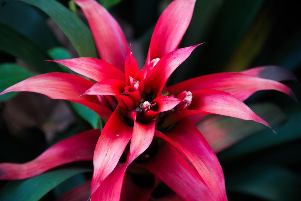 Pousada Da Mata Iriri Ngoại thất bức ảnh