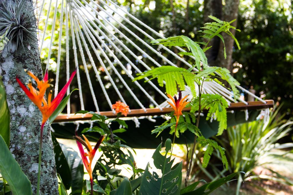 Pousada Da Mata Iriri Ngoại thất bức ảnh