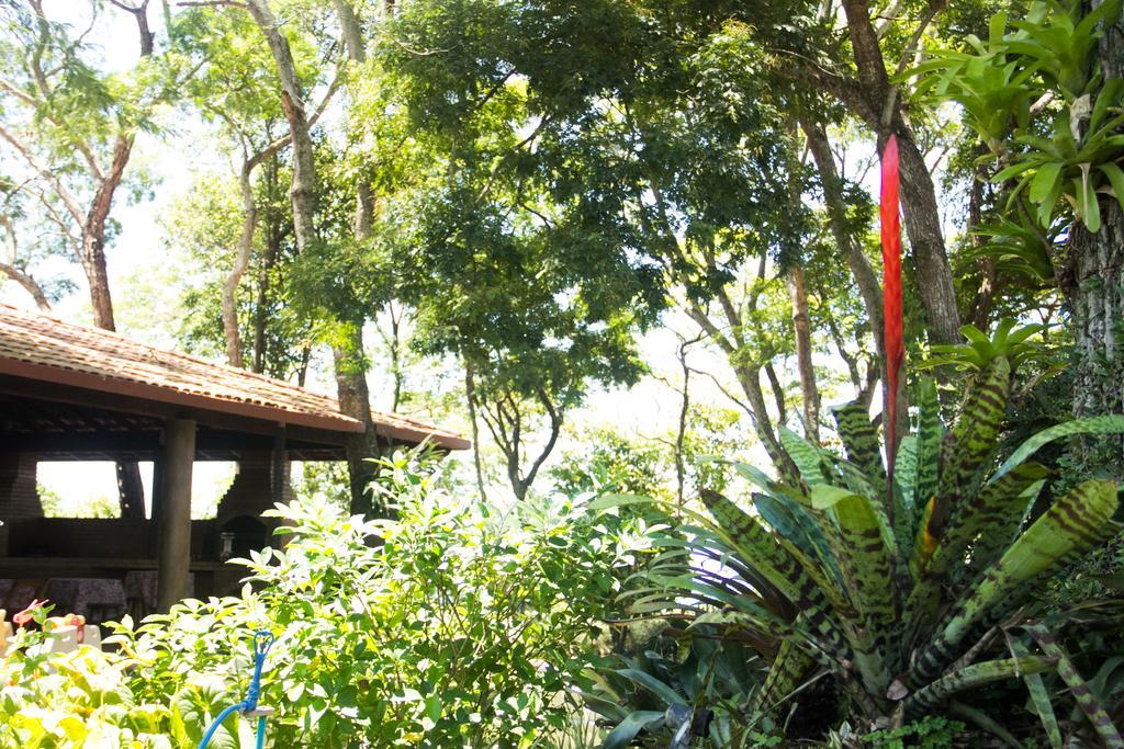 Pousada Da Mata Iriri Ngoại thất bức ảnh